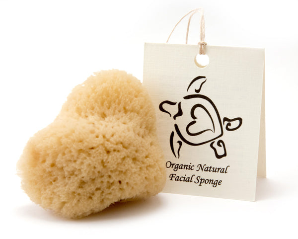 Sustainable Cosmetic Sea Sponge